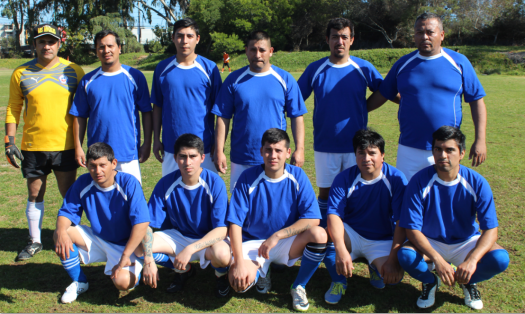 Planta - Humo Corral Talcuna - Honor