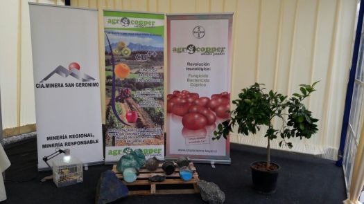 WhatsApp Image 2017-08-25 at 5.36.11 PM