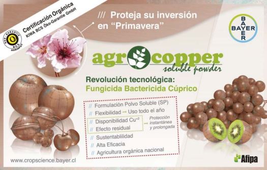 1. SINTESIS AGROCOOPER