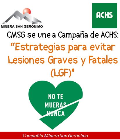 lgf_cmsg