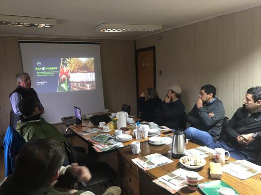 2019.01. WhatsApp Image 2019-06-14 at 13.48.39